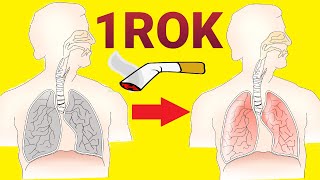 Zmiany w organizmie po rzuceniu palenia