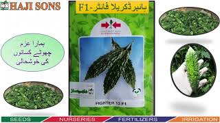 Virus Free Bitter Gourd|اگر آپ گرمی میں کریلا لگانے کے شوقین ہے تو وڈیو دکھے|Fighter|