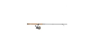 Pflueger President Spinning Reel and Fishing Rod Combo