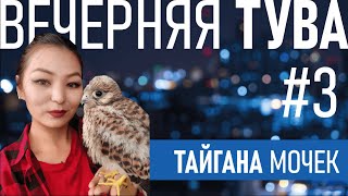 Тайгана Мочек: биолог-таксидермист | Вечерняя Тува