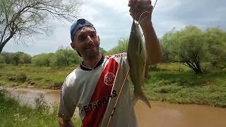 PESCA EN ARROYO !!! Capitulo 30 , Volvimos gente!!! #pesca #pescaydevolucion