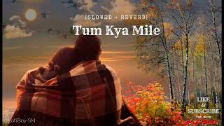 Tum Kya Mile [Slowed + Reverb] | Arijit Singh | Shreya Ghoshal | LofiBoySM