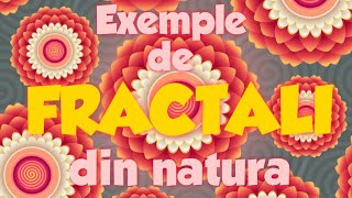 Fractalii: Exemple din Natură