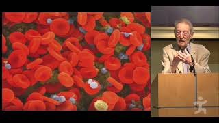 Bruce Ames: Vitamin & Mineral Inadequacy Accelerates Aging-associated Disease