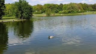 Ostpark München ,Frühling