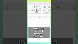 Excel Remove Duplicates