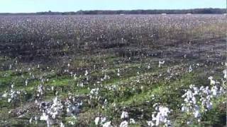 Money, Mississippi: Site of Emmett Till's Murder