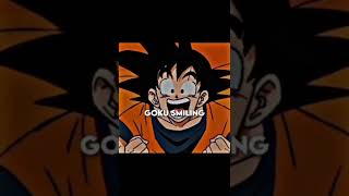 Goku and Vegeta smiling mode