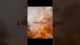 مدير الشخصنه :