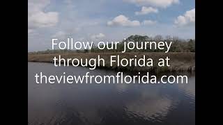 Exploring Princess Place Preserve In Palm Coast Florida