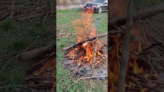 Campfire Chronicles: Igniting Adventure with Burning Dry Woods 🔥🏕️