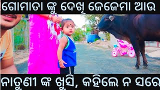 grand maa & daughter,odia vlog,odia vlogger,odia vlogger amit,daily vlog,family vlog#odisha #odia