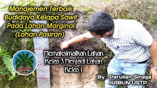 Manajemen Terbaik Budidaya Kelapa Sawit pd Lahan Marginal  By. Bpk Parulian Sinaga ~ Kepala KBN USTP