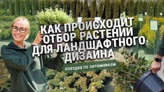 Как происходит отбор растений для ландшафтного дизайна. Поездка по питомникам.