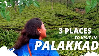 Explore the nature beauty of Palakkad || Tourist attraction places in Palakkad #palakkad #kerala