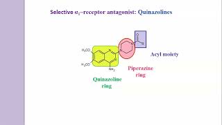 Structure activity Relationship (SAR) of alpha 1 receptor antagonist