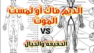 تقنيات ديم ماك أو لمست الموت و علاقته بنقاط الضغط في جسم الانسان