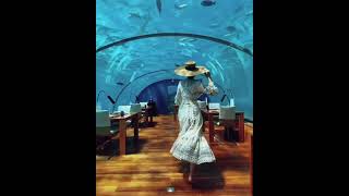 Aquatic Wonderland in Ithaa Undersea Restaurant