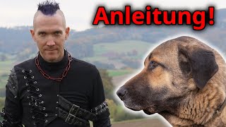 Mit katastrophalem Herdenschutzhund zu herrlich, entspannten Spaziergängen (Anleitung!)