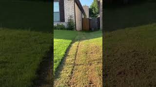 #lawncare What would you have done if it was you? #lawncare #lawntiktok #poorgra