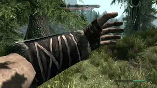 BGS 50 - The Elder Scrolls V: Skyrim - Dark Brotherhood opening