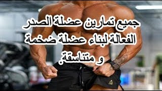 افضل 10 تمارين لابراز عضلة الصدر و نحتها ، تمارين اساسية