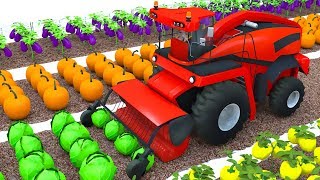 Farm Combine harvester from the field colors vegetables for kids