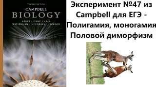 Эксперимент №47 из Campbell для ЕГЭ -  Полигамия и моногамия. Половой диморфизм