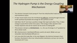 B7-4 Electron Transport & Generation of ATP