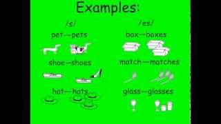 Common Plural Nouns