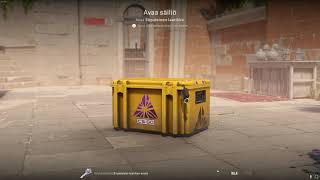 DAY 271 OPENING CS2 CASES UNTIL I GET GOLD!