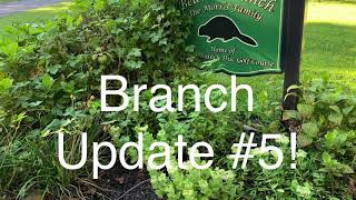 Beaver Branch Update #5: tornado clean-up