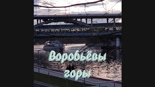 354). Воробьёвы горы