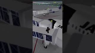 Roblox cabin crew simulator am on top of the Airplane ✈️