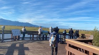 Potter Marsh is an easy boardwalk path walk along the Seward Hwy and the marsh | Anchorage Alaska