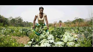 Kenya, Uganda Joint Forces Against Food Insecurity - What's the solution?