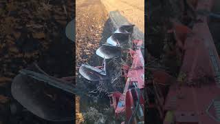 Deutz-Fahr 6165 & Kuhn Multi-master 123🧑‍🌾