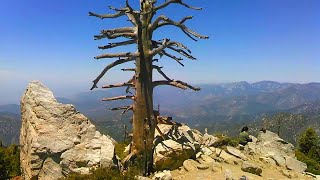 Ontario Peak - A View of the Inland Empire