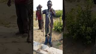 SERPENT: BOTALA COUPLE YA NIOKA EN MISSION DE TUER UNE DAME