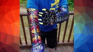 Dragon Scale Chain Mail