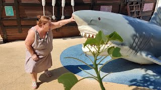 🦈EXCURSIÓN al AQUARIUM de PALMA de MALLORCA ( TIBURONES )