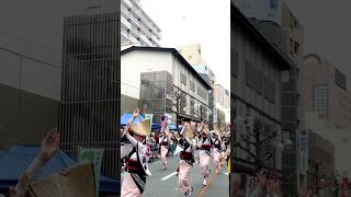 Awa Dance (Part 1a) at Ichikawa Festival