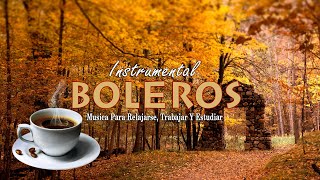 Los Mejores Boleros Instrumentales del Mundo - Música Para Relajarse, Trabajar y Estudiar