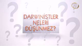 Darwinistler neleri düşünmez?