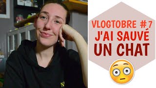 VLOGTOBRE #7 🍁 J'ai sauvé un chat 🐈 | La Vie En Rousse