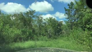 Trail ride by Trinity River in Romayor TX