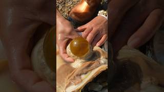 Big pearl in Oyster || #short #shortvideo #gemstone #quartz #shorts #stone