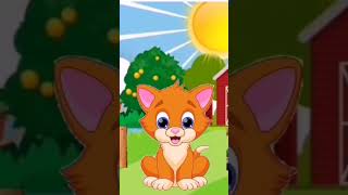 learn animals vocabulary in english / english vocabulary for kids