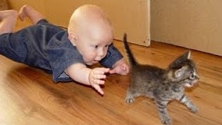 Cats and Kids Playing, Cuddling and Growing Up Together | Babies cutest videos