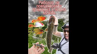 #Риболов на #щука. 10-минути #екшън.